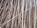 Thached roof covered with cutted dry reed straw.patterns,detail. Royalty Free Stock Photo