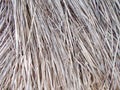 Thached roof covered with cutted dry reed straw.patterns,detail. Royalty Free Stock Photo