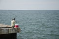 Thai angler or fisherman use fishing-rod fishing fish in the sea Royalty Free Stock Photo