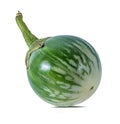 Thai aubergines Kermit, or Lao green-striped aubergines Royalty Free Stock Photo