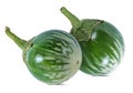 Thai aubergines Kermit, or Lao green-striped aubergines Royalty Free Stock Photo