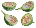 Thai aubergines  Kermit, or Lao green-striped aubergines Royalty Free Stock Photo