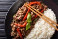 Thai Basil Beef, or Pad Gra Prow with rice side dish close-up. horizontal top view