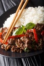 Thai Basil Beef, or Pad Gra Prow with rice side dish close-up. vertical