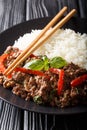 Thai Basil Beef, or Pad Gra Prow with rice side dish close-up. vertical