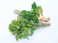 Thai basil and Lemongrass, galangal and leaf of bergamot kaffir lime on white background Royalty Free Stock Photo