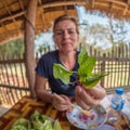 Thai basil, Ocimum basilicum. Laos, Asia food