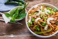 Thai beef noodles Royalty Free Stock Photo
