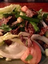 Thai Beef Salad Royalty Free Stock Photo