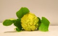 Thai Bergamot is vegetable