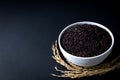 Thai black rice or rice berry in white ceramic bowl on black background. 45 degree angle. close up shot Royalty Free Stock Photo
