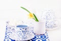 Thai blue butterfly pea flower tea, anchan Royalty Free Stock Photo