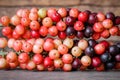 Thai blueberry on wooden background,Antidesma thwaitesianum