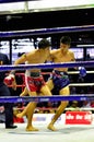 Thai Boxing