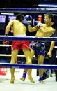 Thai Boxing