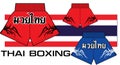 Thai boxing shorts