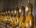 Thai Buddhas