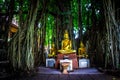 Thai Buddhas 8