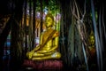 Thai Buddhas 9