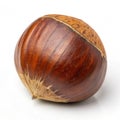 Thai chestnut isolated on white background Royalty Free Stock Photo