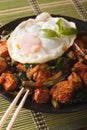 Thai chicken with basil and egg close-up on a plate vertical