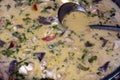 Thai chicken coconut soup