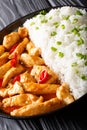 Thai chicken panang curry with rice and green onion close-up. vertical Royalty Free Stock Photo