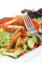 thai chicken salad Royalty Free Stock Photo