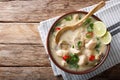 Thai chicken soup tom kha gai close-up in a bowl. horizontal top