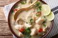 Thai chicken soup tom kha gai with coconut milk close-up in a bo Royalty Free Stock Photo