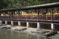 Thai children student visit and educational tour looking animal at samphran elephant ground & zoo in Nakhon Phatom, Thailand