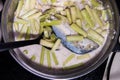 Thai Coconut Curry of Steamed Mackerels and Lotus Stems