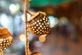 Coconut lamp from Thailand Royalty Free Stock Photo