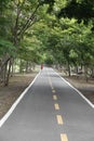 Thai country road running through tree alley Royalty Free Stock Photo