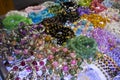 Thai craftsmanship technician or professional handicraft made handmade bracelet stone bead accessories and ornament jade for show