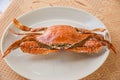 Thai cuisine: Steamed crab