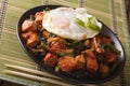 Thai cuisine: Stir-Fry Gai Pad Krapow chicken on a plate close-up horizontal
