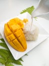 Thai dessert concept. Mango and sticky rice