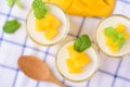 Thai dessert mango pudding, ripe mango dip in agar and coconut milk jelly