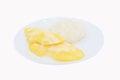 Thai dessert mango on sticky rice and coconut milk Royalty Free Stock Photo