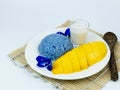 Thai dessert, Mango sticky rice on plate ceramic