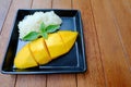 Thai dessert: Mango with Sticky Rice topping with coconut milk
