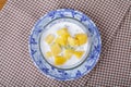 Thai dessert of sago with coconut milk and mango Royalty Free Stock Photo