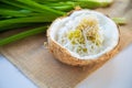 Thai dessert steamed cassava cake with fresh coconut in coconut shell with pandan leaves blurred background on white table