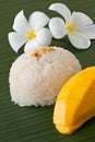 Thai dessert sweet sticky rice with mango