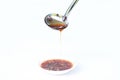 Thai dipping sauce,Meat sauce. Royalty Free Stock Photo