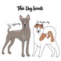 Thai dog breed cartoon chart illustration