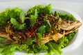 Thai dressed salad fish of thailand