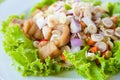 Thai dressed spicy salad with green herbs Royalty Free Stock Photo