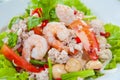 Thai dressed spicy salad with prawn, pork Royalty Free Stock Photo